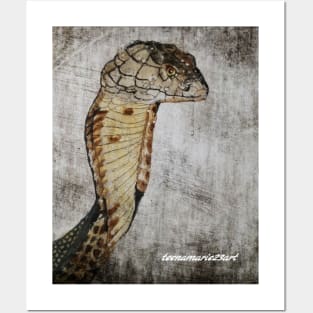 Snake Posters and Art